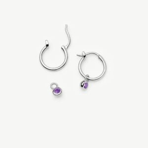 import placeholder for february birthstone mini charm hoop earrin 31065339